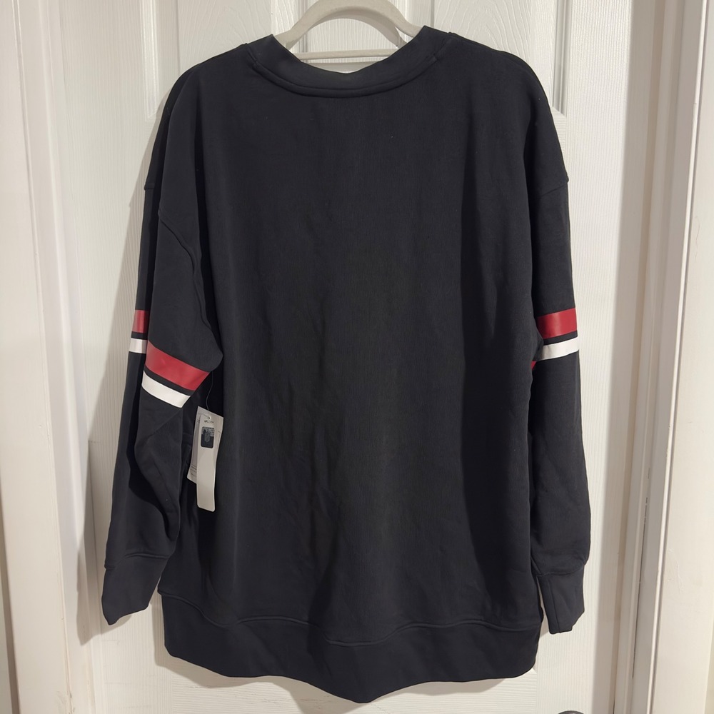 Champion San Francisco 49ers Mens Black V-Neck Pullover Sweatshirt Large New - Picture 10 of 10